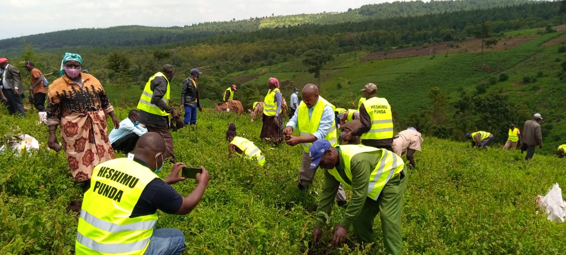 KENDATKenya's tweet photo. Farmers in donkey-owning communities have tree nurseries for income generation where they sell the trees and use the income for donkey welfare needs e.g. veterinary services.
#heshimupunda #mtunzepundadaima #IncomeGeneratingProject #climateaction #LifeOnLand #treeplanting https://t.co/fsKZqLC0Th