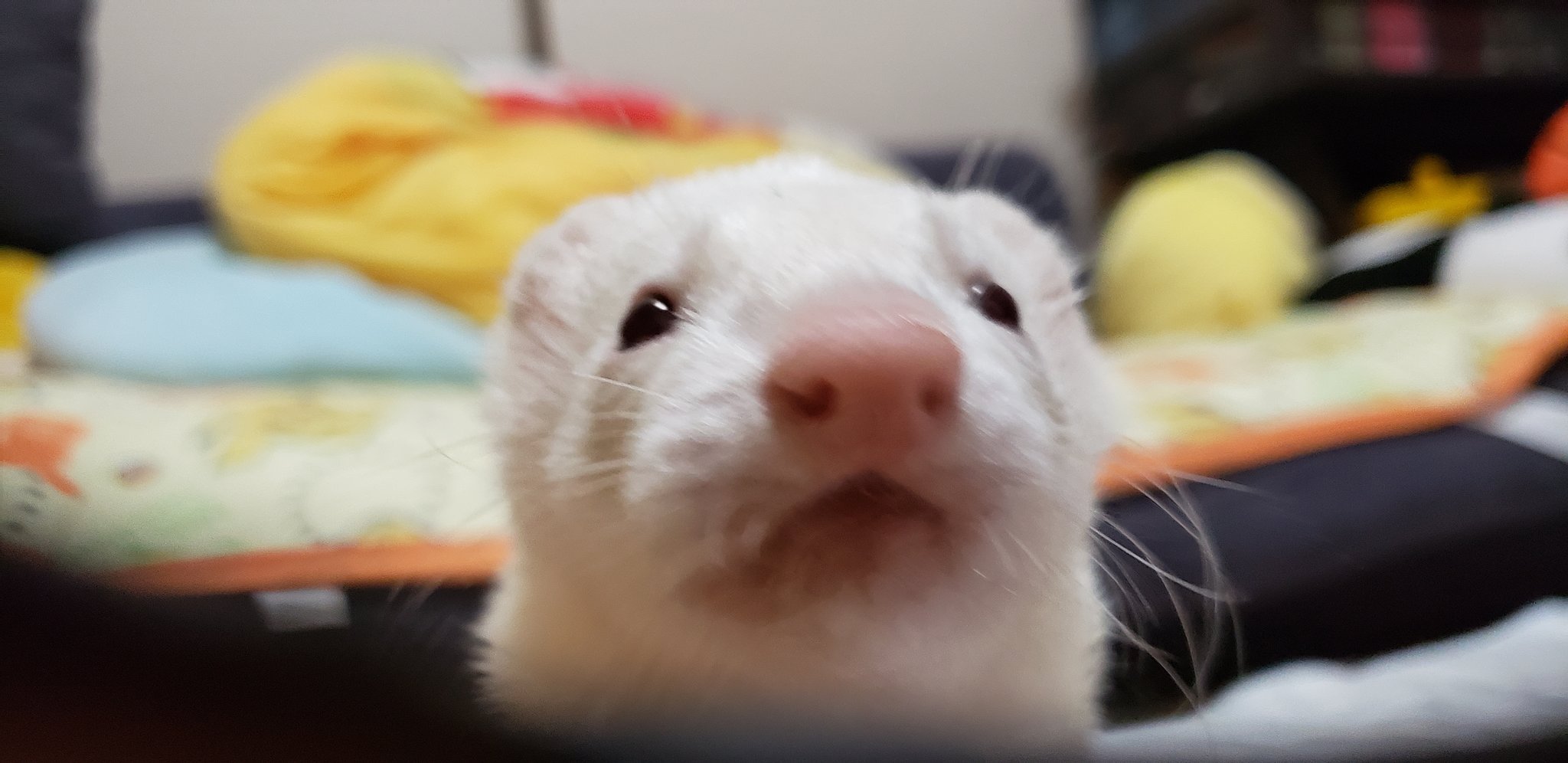 魂が安らかに眠るようにどんな祈りを捧げますか？