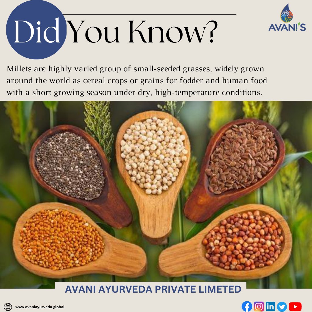 _AvaniAyurveda's tweet photo. Did you know?....
.
.
.
#avaniayurveda #avanis #milletmission @IYM2023 #milletyear2023 #avanisproducts #IYM2023 #yearofmillets #iimrhydravad #PMOIndia #mygovindia #internationalyearofmillets2023 https://t.co/cGFgrLDBlz