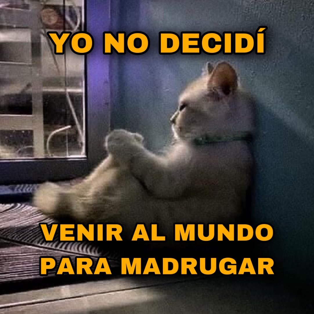 lloromucho's tweet photo. https://t.co/cjogRSwv4a
