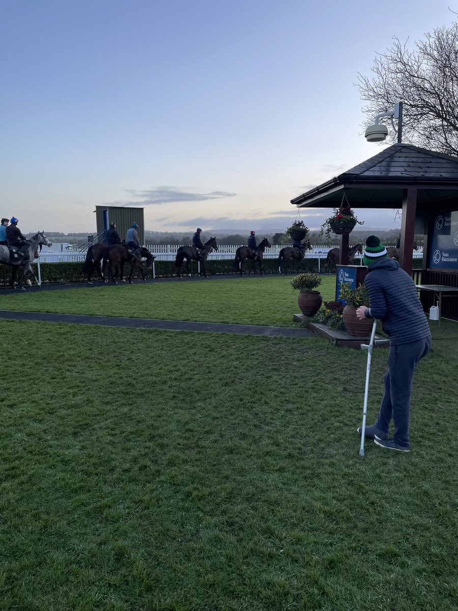 Gordon Elliott tweet media