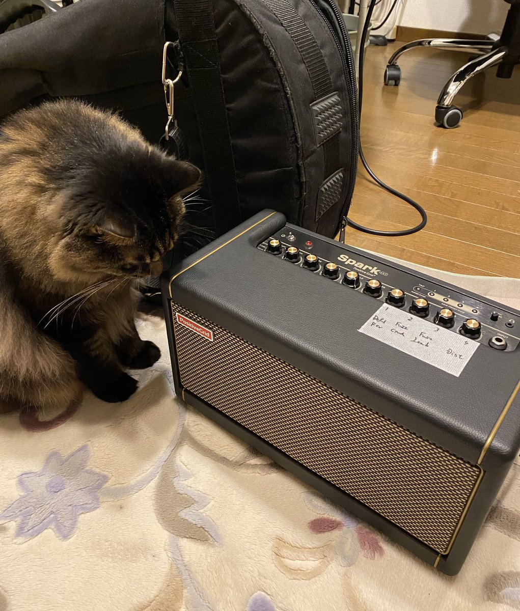 usuke0120's tweet photo. 6月にアコとエレ持ってあちこち行く事になったのでウワサのsparkに買い替え

楓と同じ位のサイズで40Wも出るのとフットスイッチがBluetoothなの超嬉しい

自分のフレーズにAIが自動でリズムとコード付けてくれる #smartjam が優秀すぎて自分の職がなくなる怖さを覚えた程

#positivegrid 
#spark https://t.co/G3Y50wQLzi