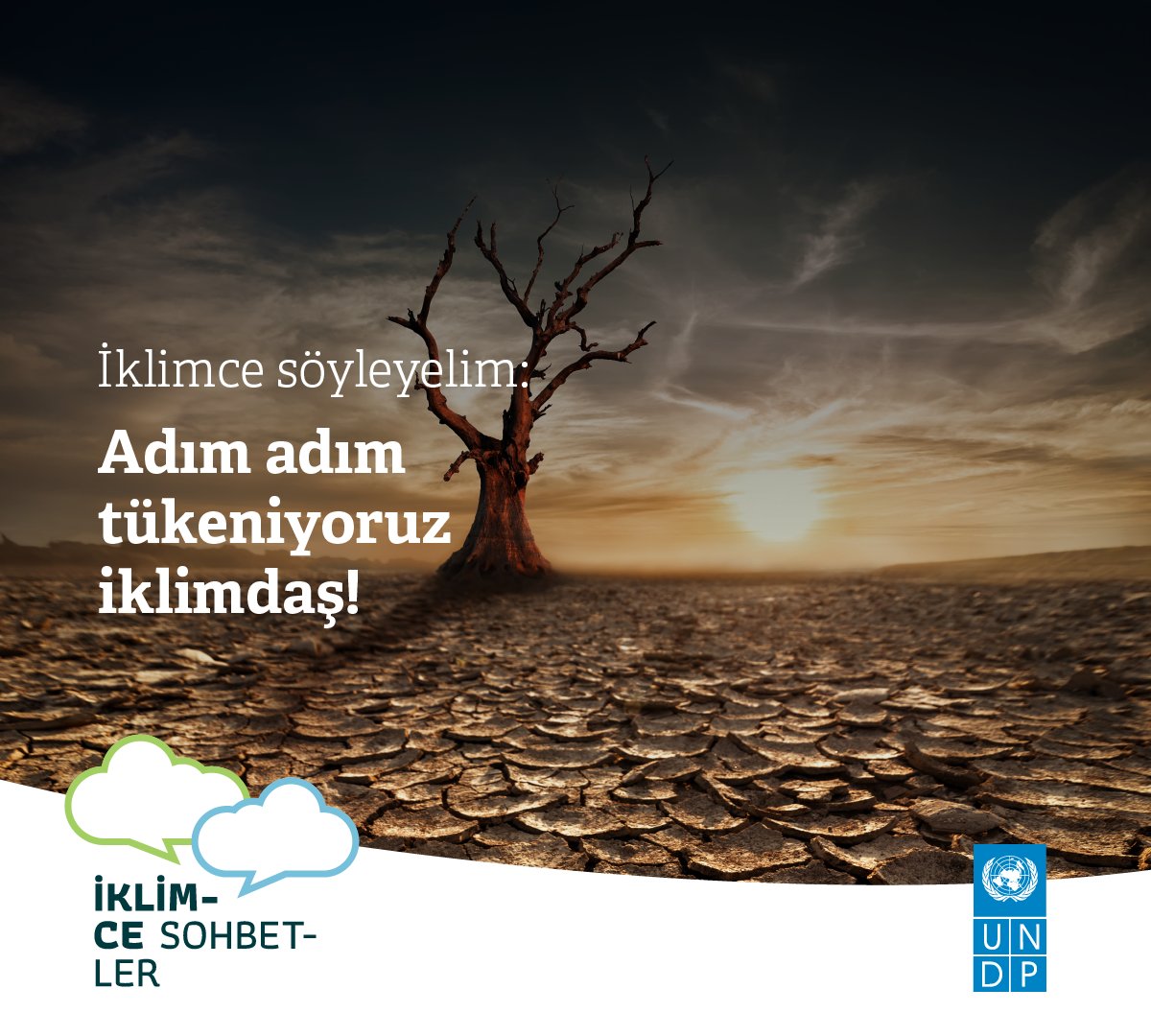 Nature Climate Change dergisinde yayımlanan araştırmaya göre iklim krizi nedeniyle kentlerdeki ağaçların %65’i risk altında. 
İklimce söyleyelim: Adım adım tükeniyoruz iklimdaş!
.
Detaylı bilgi: bbc.in/3CLjXDh