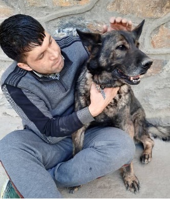 Kabul Small Animal Rescue tweet media