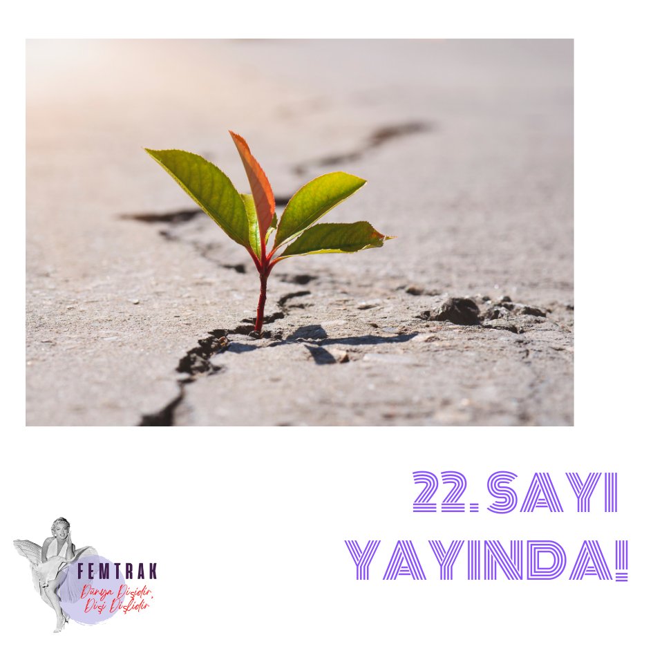 Femtrak 22. sayı yayında! - femtrak.com