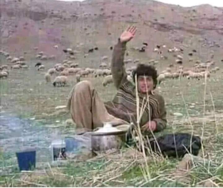 منقوله
ﻓﻮﺟﺊ ﺭﺍﻋﻲ ﺃﻏﻨﺎﻡ ﺑﺴﻴﺎﺭﺓ ﺟﺪﻳﺪﺓ ﺗﻘﻒ ﻗﺮﻳﺒﺎً ﻣﻦ ﻗﻄﻴﻌﻪ ، ﻭﻳﺨﺮﺝ ﻣﻨﻬﺎ ﺷﺎﺏ ﻭﻳﻘﻮﻝ ﻟﻪ
ﺇﺫﺍ ﻗﻠﺖ ﻟﻚ ﻛﻢ ﻋﺪﺩ...