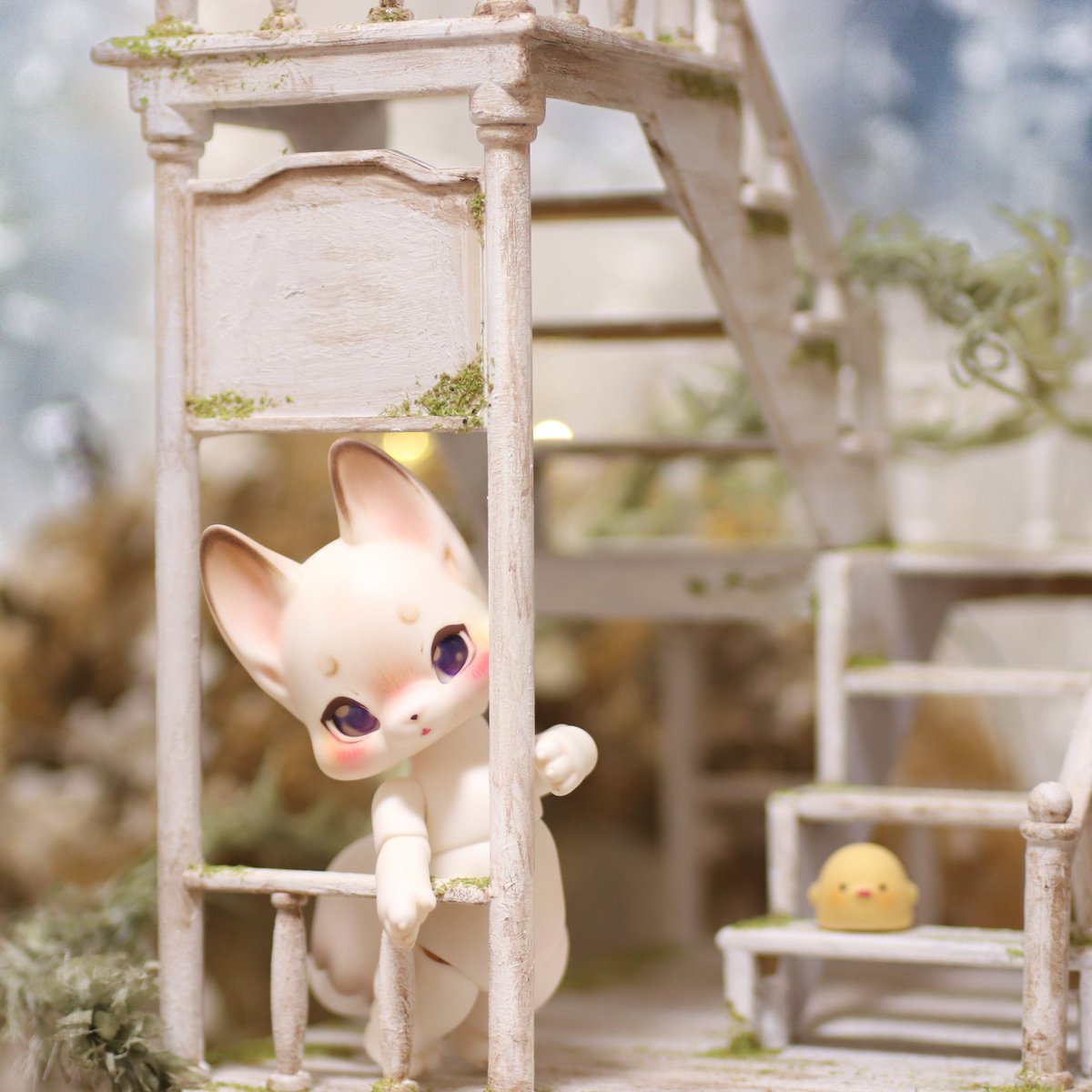 panmimi_02's tweet photo. ちょっぴり恥ずかしがり屋なこ🦊
#COCORIANG #cocoriangniya https://t.co/anb4pnD54Z