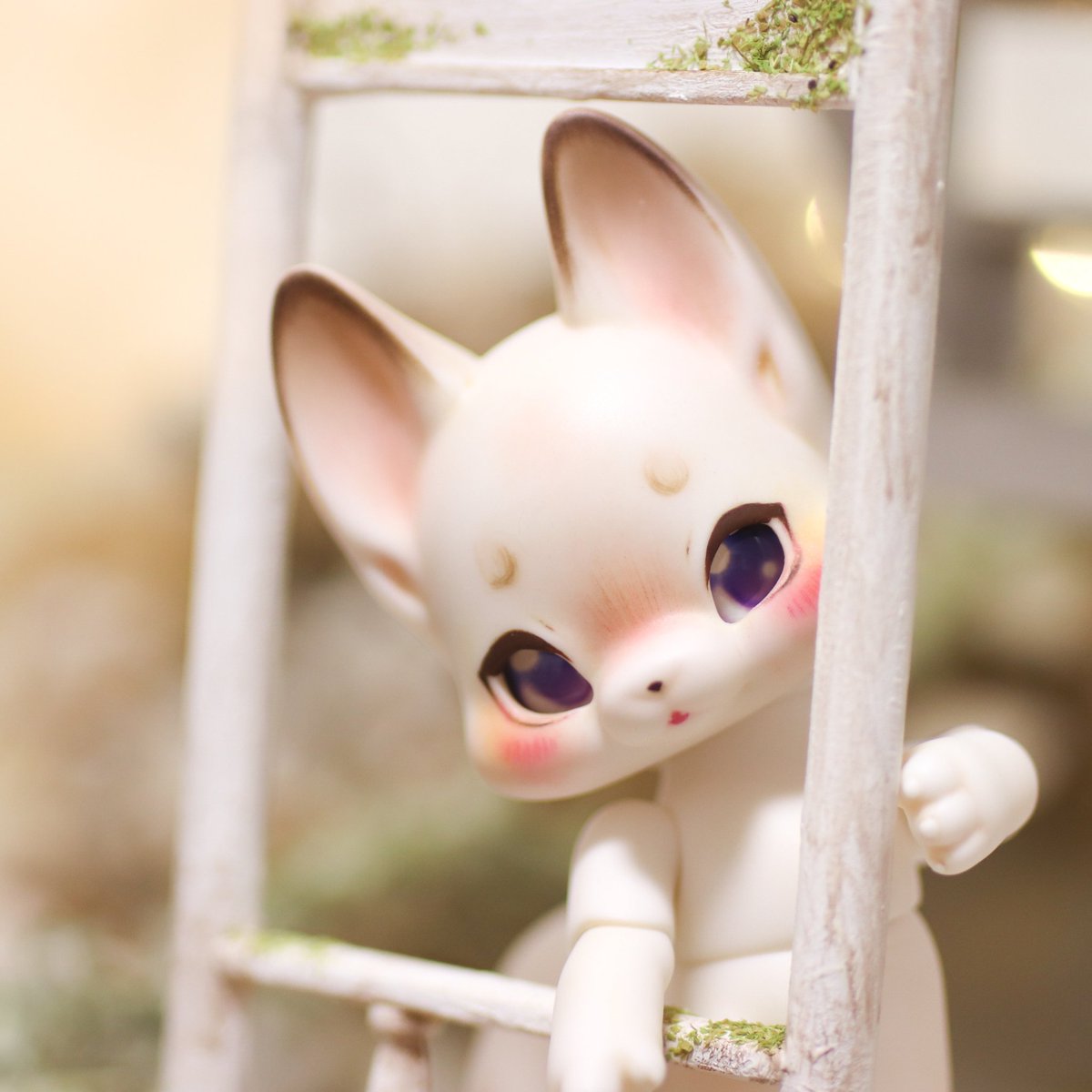 panmimi_02's tweet photo. ちょっぴり恥ずかしがり屋なこ🦊
#COCORIANG #cocoriangniya https://t.co/anb4pnD54Z