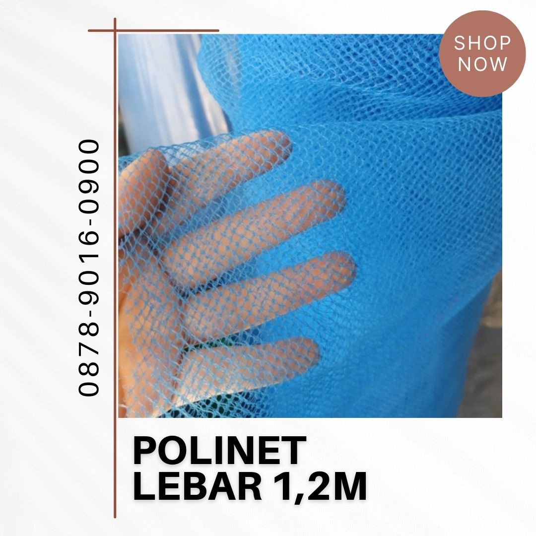 Net11Poly's tweet image. Kualitas terjamin harga polynet biru (jaring safety net), jaring pengaman proyek, paranet, polinet, polynet adalah#hargapolynetbiru #jaringsafetynet) #jaringpengamanproyek #paranet #polinet # polynetadalah