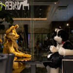 Temerea/テメ🔜Furry Joa🇯🇵✈️🇰🇷のツイート画像