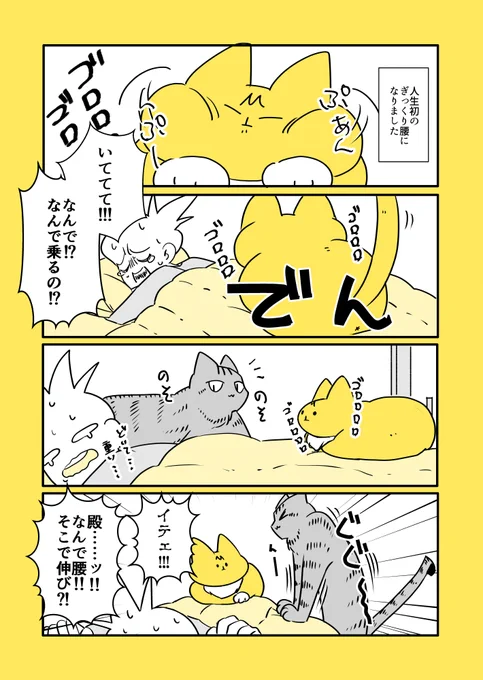 猫と子猫とぎっくり腰  