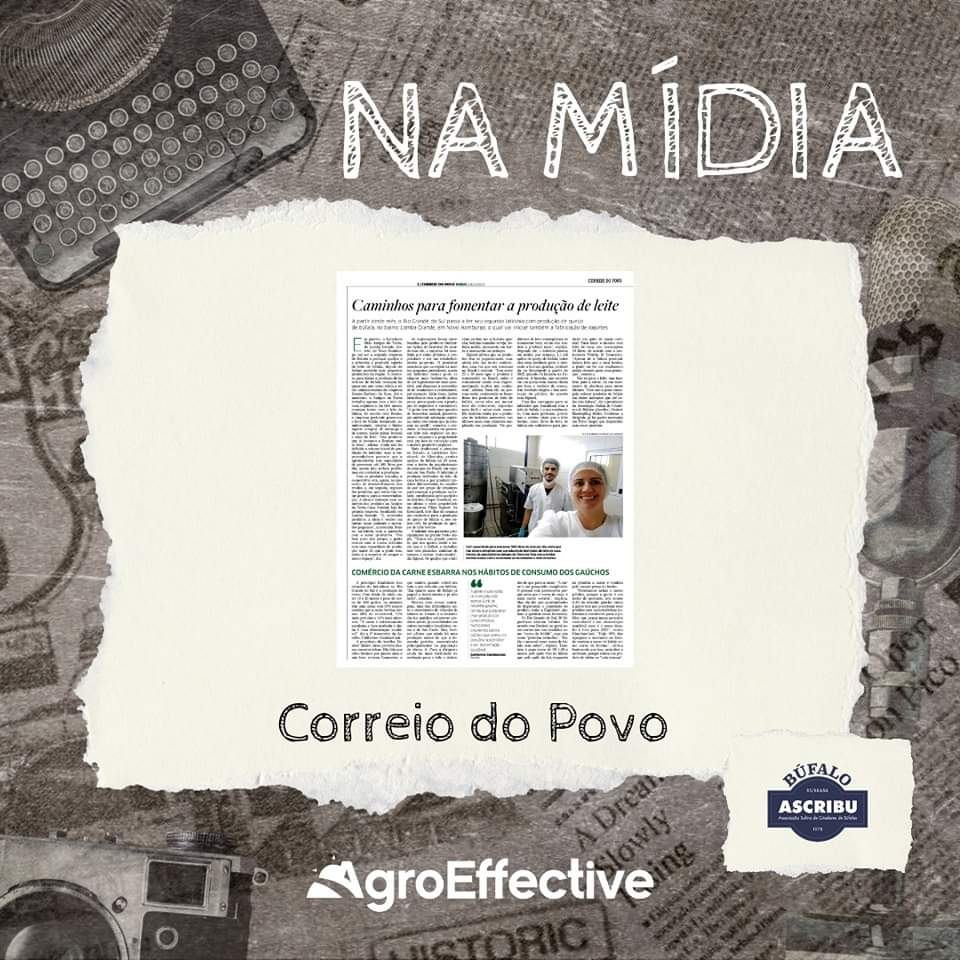 agroeffective's tweet image. 📰 A semana começa com essa bela matéria do caderno Correio Rural, do jornal Correio do Povo, sobre a criação e mercado do búfalo no Rio Grande do Sul.

#ascribu #bufalo #agroeffective #agro #assessoriadeimprensa #namidia