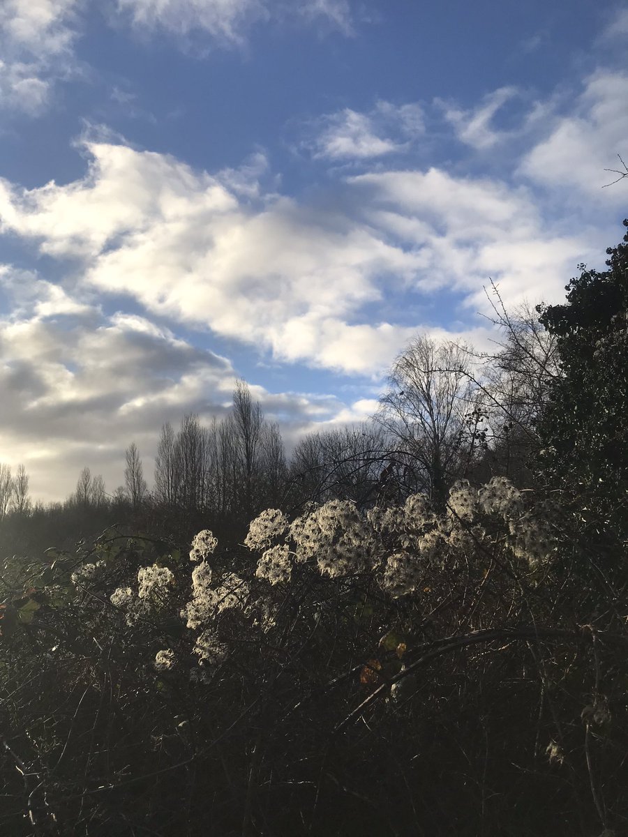 TubbyBats's tweet photo. The #photoa from todays #walk #100daysofwalking https://t.co/OyTxfYG6VW