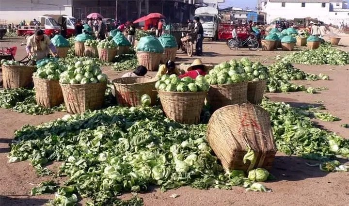 demi_farm's tweet photo. How can we solve the food waste problem and the post harvest loses where farmers loose so much food after tirelessly producing it. https://t.co/cMOTZoUxl3