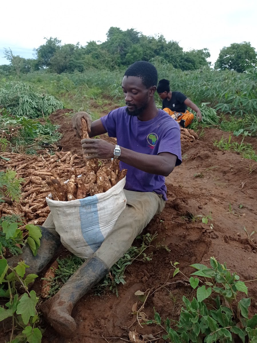 Same energy as last week. Here we go! #youngandfarming.