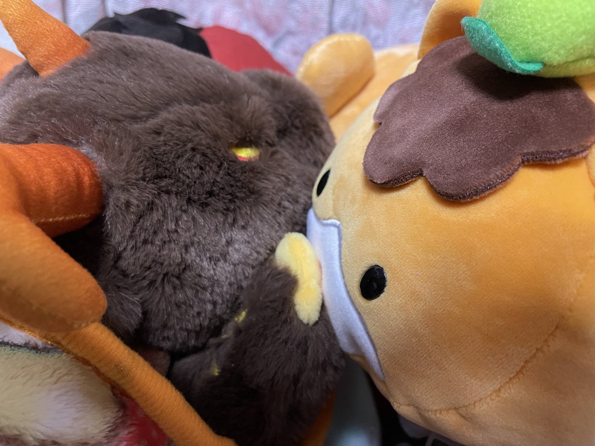 ふわふわていくん日記📖☡✍ おともだちにふわふわタッチ😳 今年も毛並みは良好🙆‍♀️