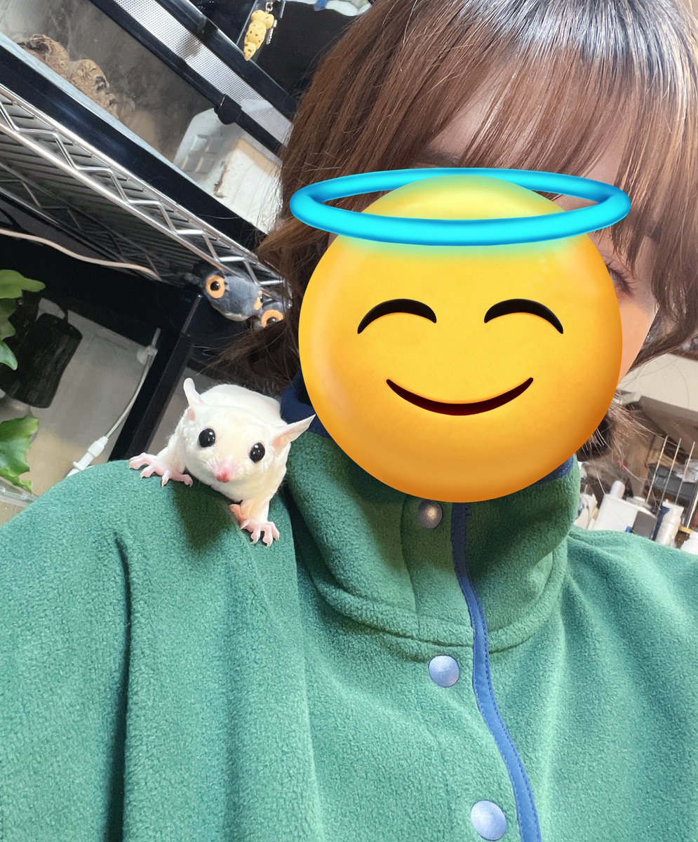 rinart0927's tweet photo. カメラ目線のシロ、かわいすぎ🥲❤️❤️ https://t.co/PAFvrOGVEO