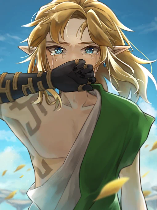 貴女を探して#TotK #zelda #TearsoftheKingdom #ティアーズオブザキングダム #botw 