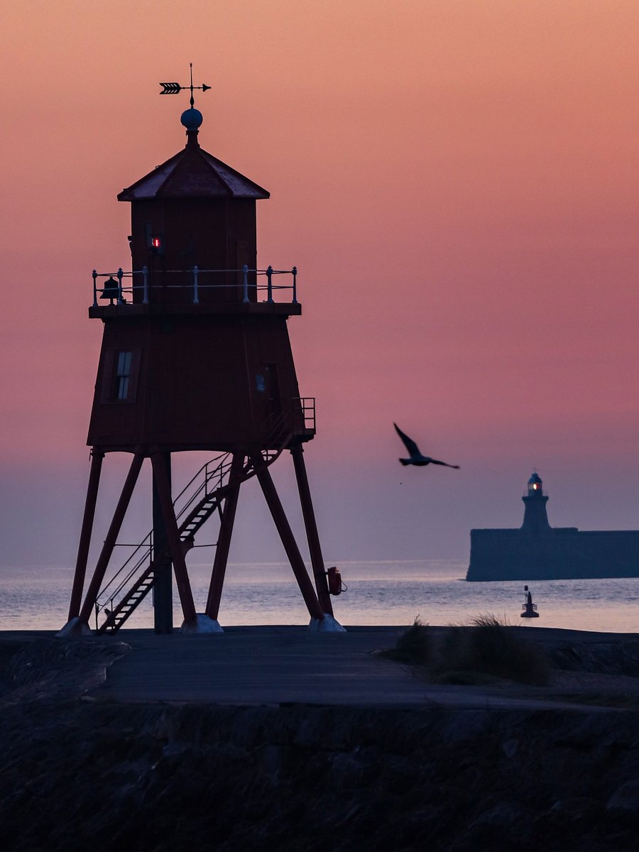 r_steady_shoot's tweet photo. Good morning ❤️ #southshields #sanddancer https://t.co/Ha600tH8ej