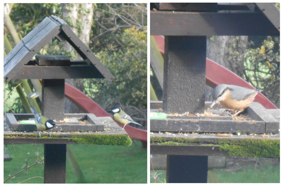 Telt u ook de vogels in uw tuin komend weekend?

Zeker doen en doorgeven aan <a href="/MijnNatuurpunt/">Natuurpunt</a>

natuurpunt.be/het-grote-voge…