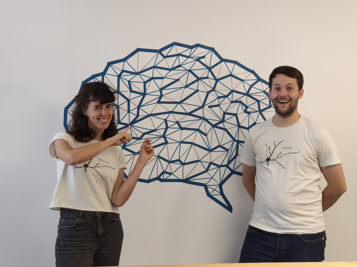 Reconstructing neural circuits in our office … with tape.

#tapeart #neuroart