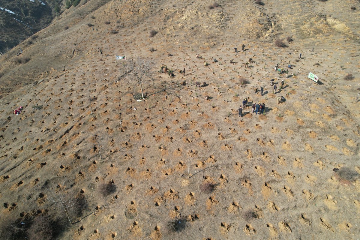 naturalistzahid's tweet photo. Another plantation site, Hatmulla, District Kupwara getting ready for mega plantation drive in the coming days..#planttreesplanthope #saveforests ⁦@kamrajforest⁩ ⁦@moefcc⁩ CAMPA funds ⁦@jkforestdeptt⁩ ⁦@dckupwara⁩ https://t.co/1kPlumnIEn