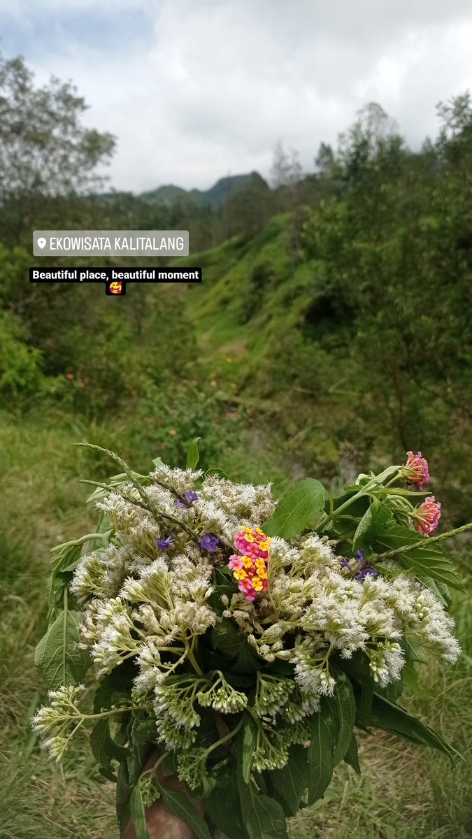 tyybeeeee's tweet photo. Dulu doi emg pengen bgt foto prewedding di kalitalang, dan alhamdulillah hari ini done🥰 https://t.co/CzLAWs8SMm