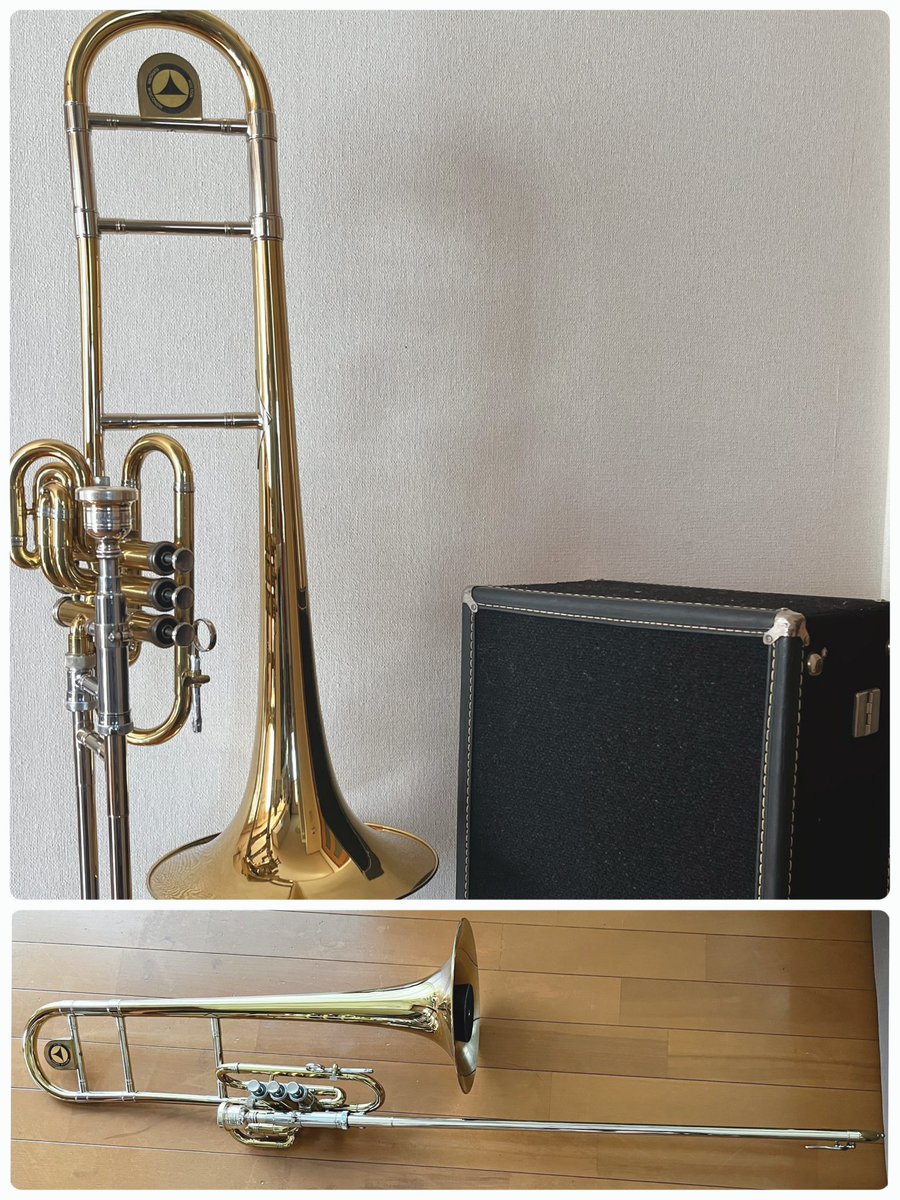 Ei178's tweet photo. この楽器…ソフトケースあれば運びやすいんだよなぁ😅
オーダーで作るしかないのか、何かで代用出来るのか…希少楽器なだけにアドバイスもらえない🤣
#superbone
#holton https://t.co/7WTgb7KEH5