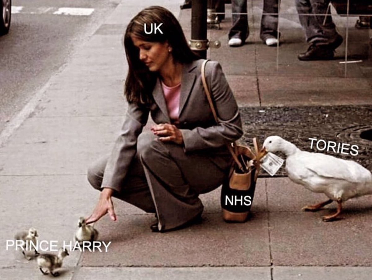 tomtomshep's tweet photo. This meme knows. https://t.co/J7Wm9oNInS