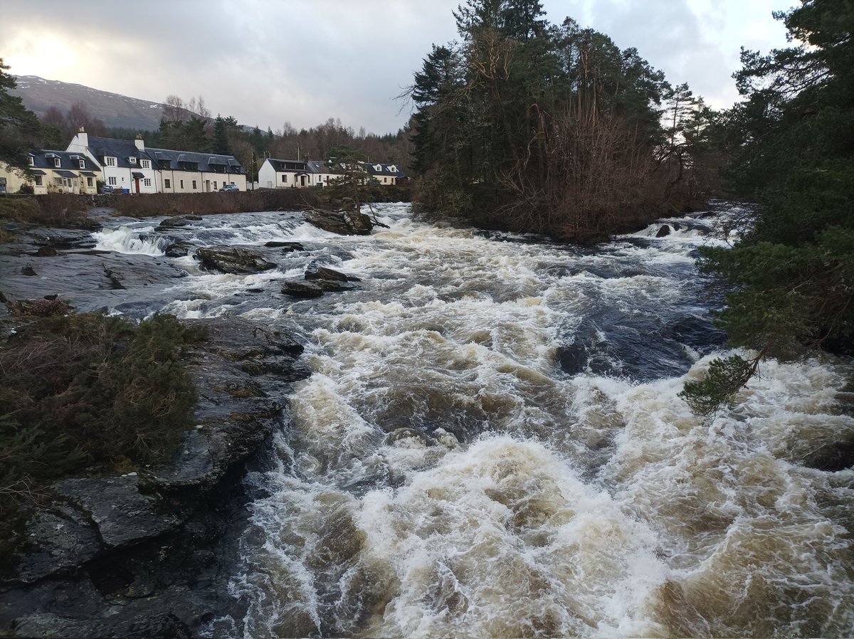 BeansbowtiqueB's tweet photo. How else would you prepare for your next learning block 🦌👌
Fresh air, fresh mind and now I'm ready to learn 🙌

#pgde #pgdeuws #postgradteaching #teachertraing #studentteacher #lovelife #livelovelearn https://t.co/ybL5hB7hES