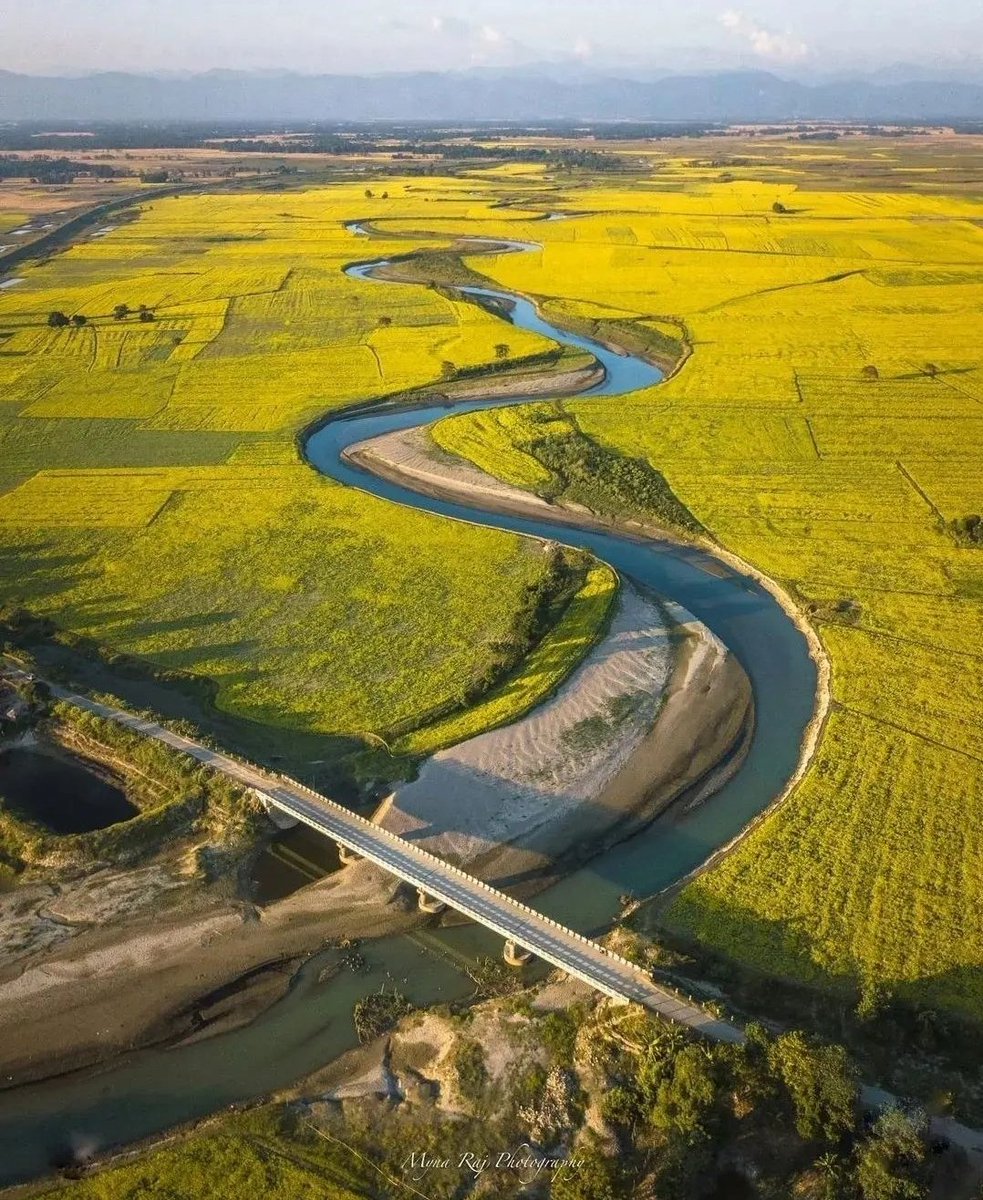 finderbridge's tweet photo. @aweassam @mygovassam @PIB_Guwahati @incredibleindia #Assam #IncredibleIndia #FYP #finderbridge #Travel #traveling #explorepage #explore #fypシ https://t.co/5M6Sl9QmQr