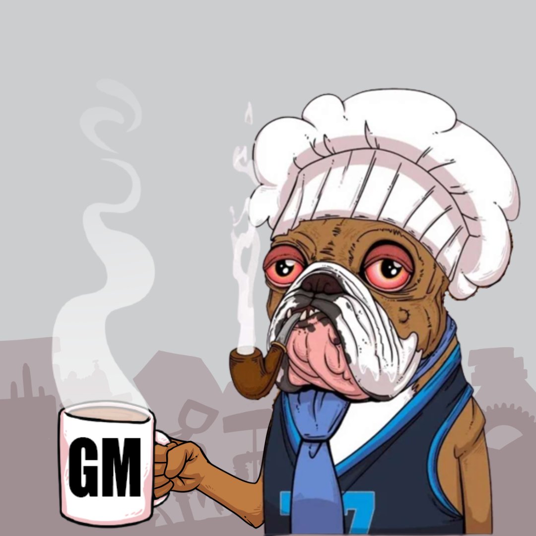 PhilCook87's tweet photo. @JunkyardDogsNFT @TheChag77 Congrats.... and GM. https://t.co/Q0YZ2lgVPM