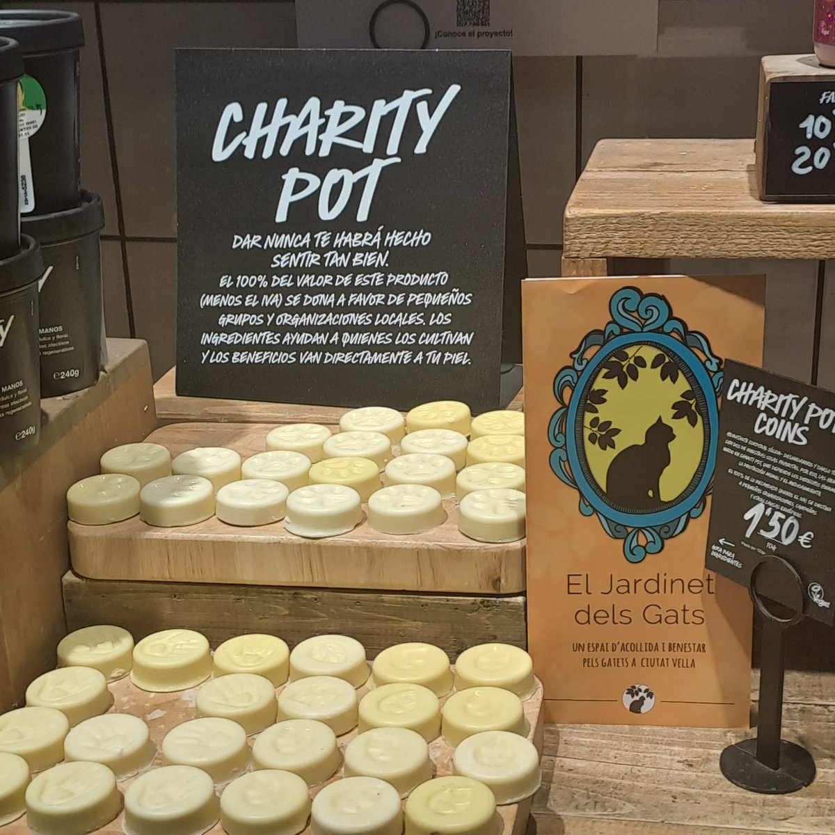 Jardinet dels Gats tweet media