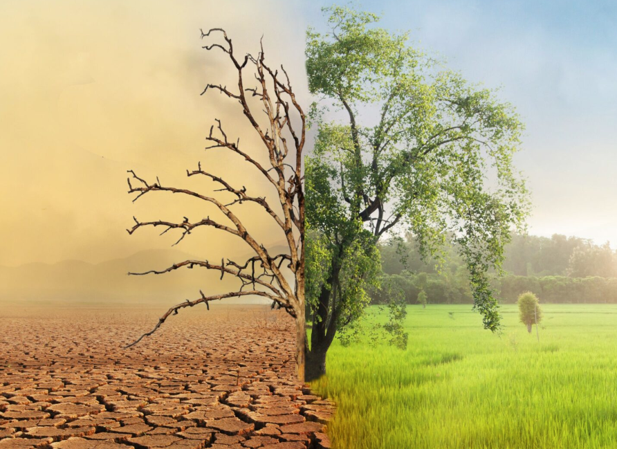 WCYDO_Earth's tweet photo. What Can You Do to help stop Climate Change
https://t.co/b36pDX3bTk
#climatechange #globalwarming #WCYDo #makeachange #saveenvironmentsavetheworld #actnow #starttoday #sustainabledevelopment https://t.co/Qa6OtwY7gO