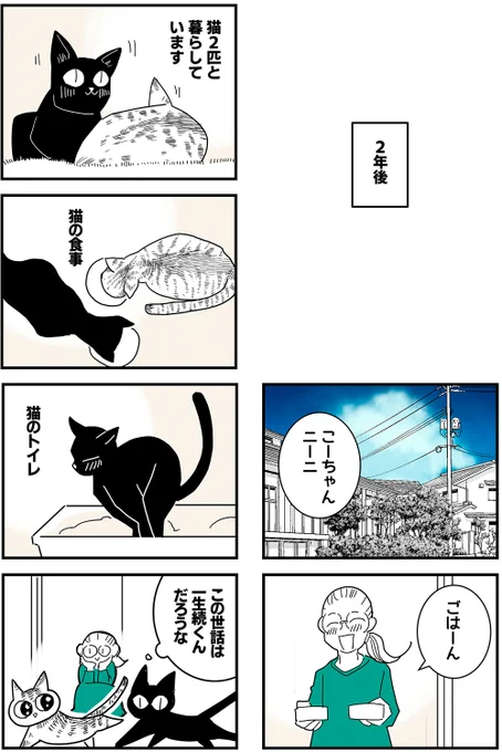 \今、猫2匹と暮らしている🐈‍⬛/

保護猫と暮らす前のお話【29】

#明日最終話・ 