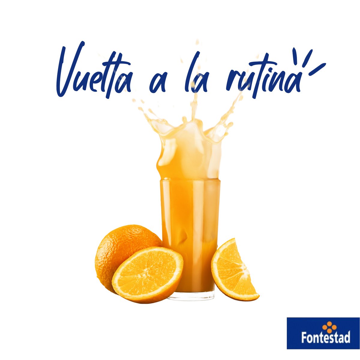 nfontestad's tweet photo. 🍊 A todos nos cuesta volver a la rutina después de las navidades pero el zumo de naranja es un gran aliado para facilitar esa vuelta al trabajo. A nosotros nos funciona todas las mañanas para tener energía 🧃

#Fontestad #Naranjas #Mandarinas #Calidad #Rutina #ZumodeNaranja https://t.co/LpORXiAu8m