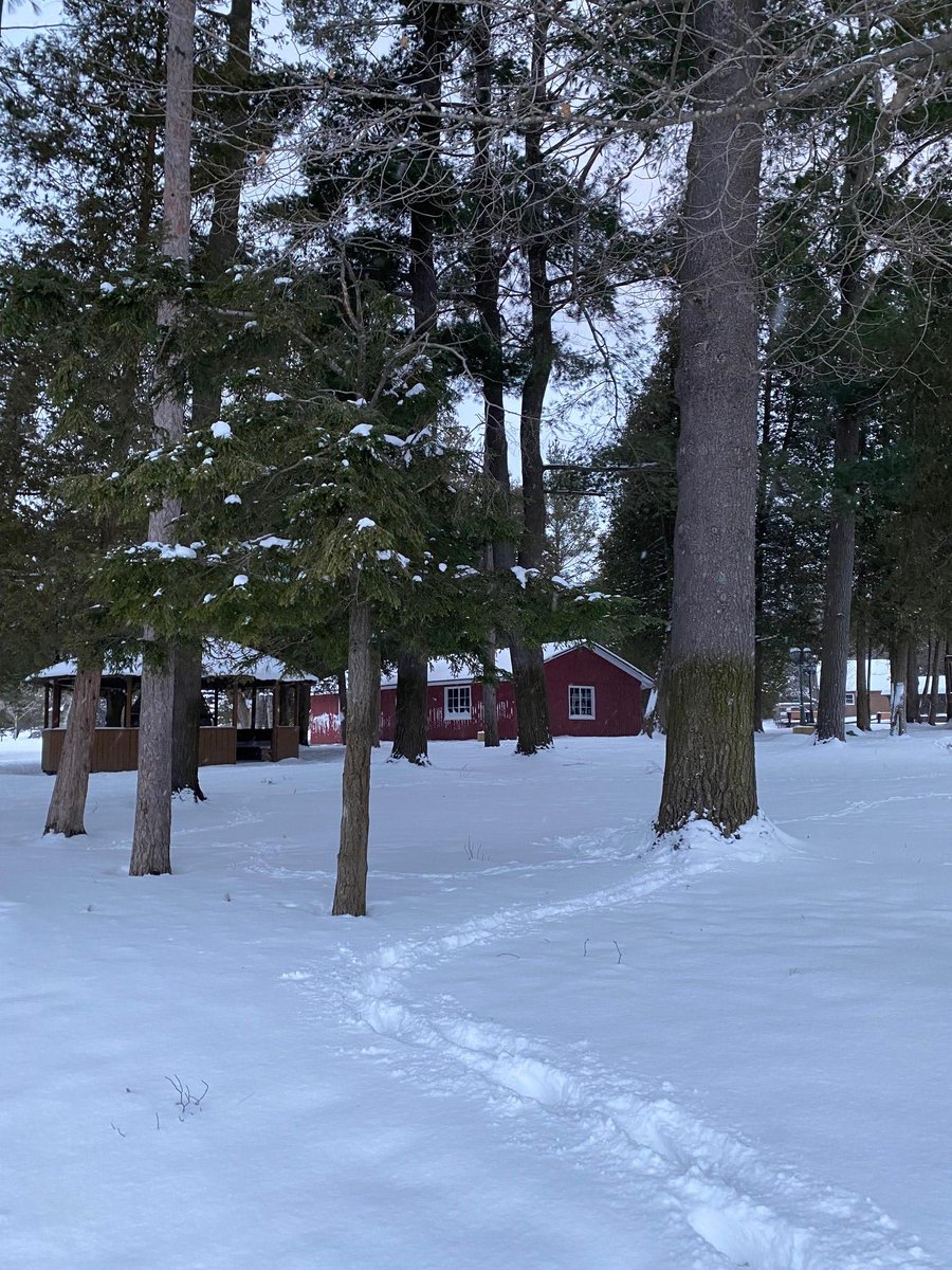 LittleEdenCamp's tweet photo. Little Eden Camp is a great place to come for a winter family getaway! Call KJ to set up a reservation at 231-889-4294 or email her at guestservices@littleeden.org.  #LittleEdenCamp https://t.co/YJyrSTk2o1