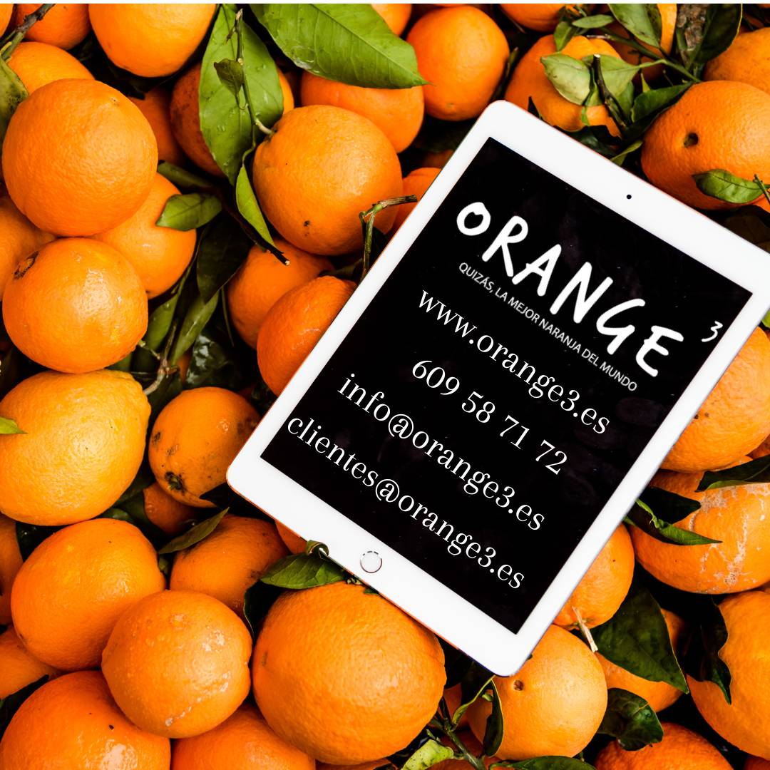Orange3's tweet photo. Vuelta a la rutina, vuelta a los hábitos saludables ¡Cuídate! https://t.co/82RJFCJVqf #orange3 #naranjasdeandalucia #naranjasdepalmadelrio #comesaludable https://t.co/cwHmhuO58o