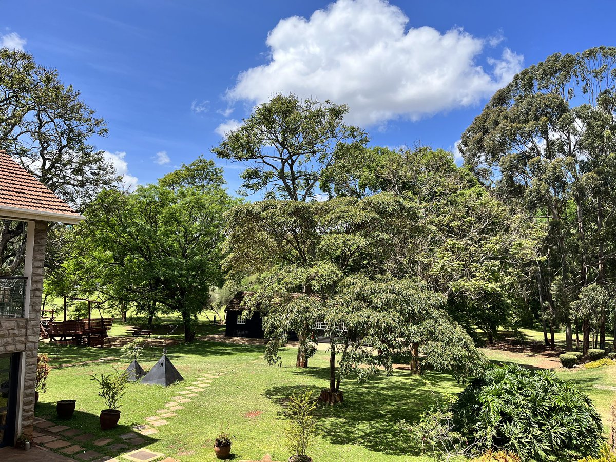 The Athena Approach tweet media