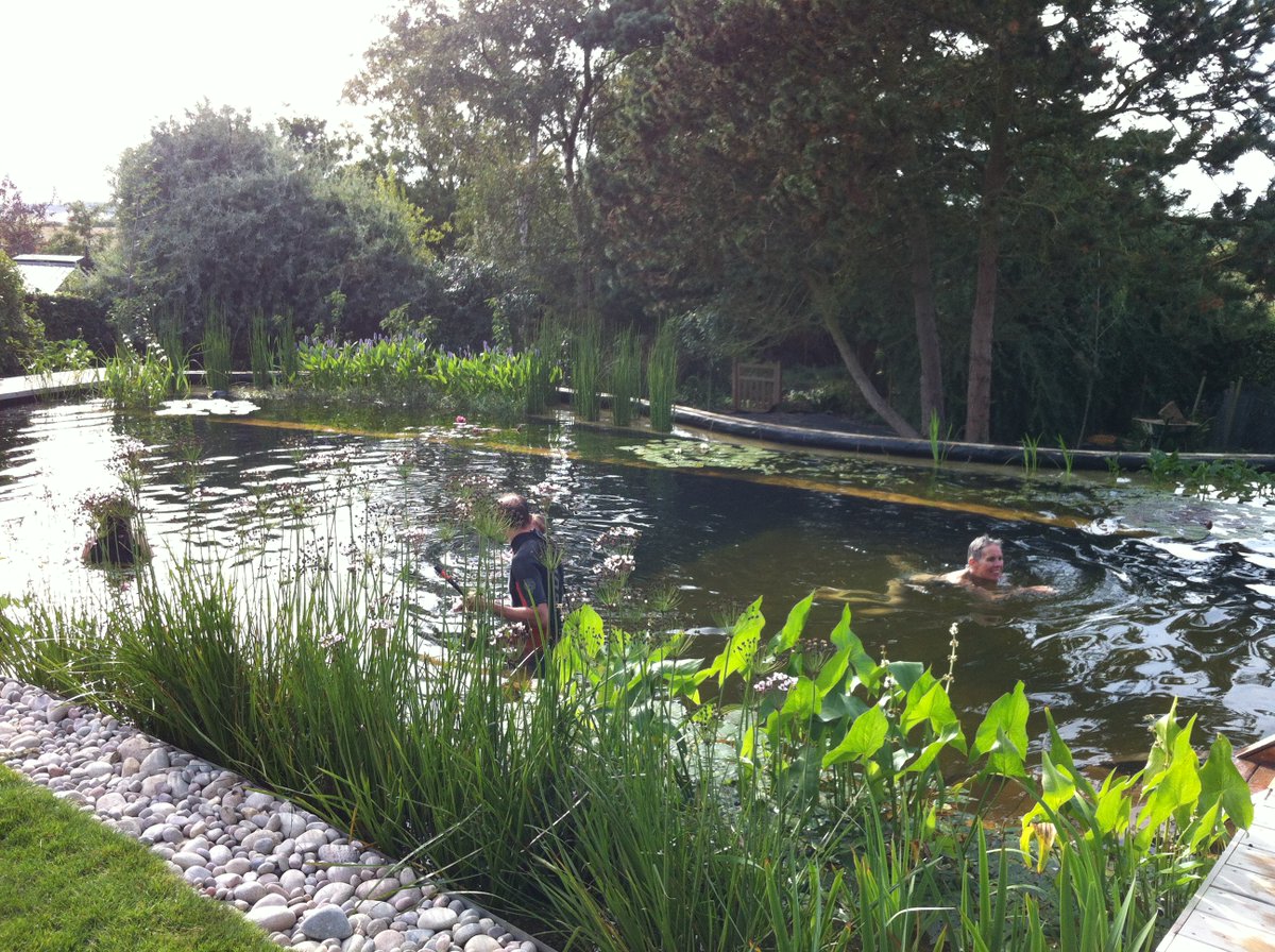 Another pond - in John's garden. A naturally regulated water swimming pond, 15mx8m, with a 5m wide swimming tank 2.9m deep. The construction story is in our blog - search 'bigger splash'. We gather John swims in it all through the summer. A bit cold at the moment @WyerJohn?