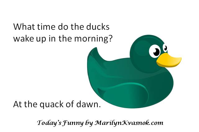 What Time Do Ducks Wake Up: Discover Their Morning Routine