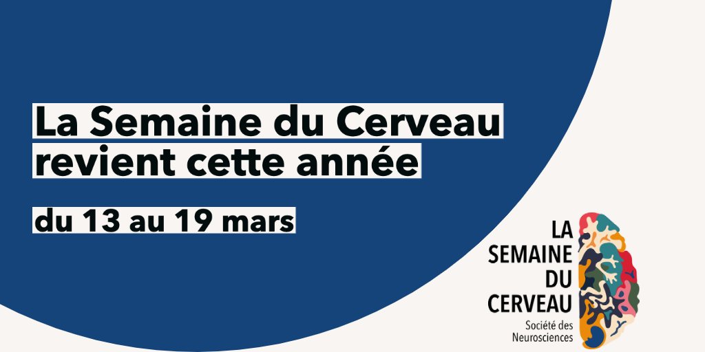 Semaine_Cerveau's tweet photo. Curieux·ses d'en apprendre plus sur les mystères ❓qui entourent notre #cerveau ?
Ne manquez pas la Semaine du Cerveau du 13 au 19 mars !
Programme en préparation sur 👉 https://t.co/Tb8bXFhy8l
#SDC2023 #neurosciences https://t.co/F5juHkxnDT