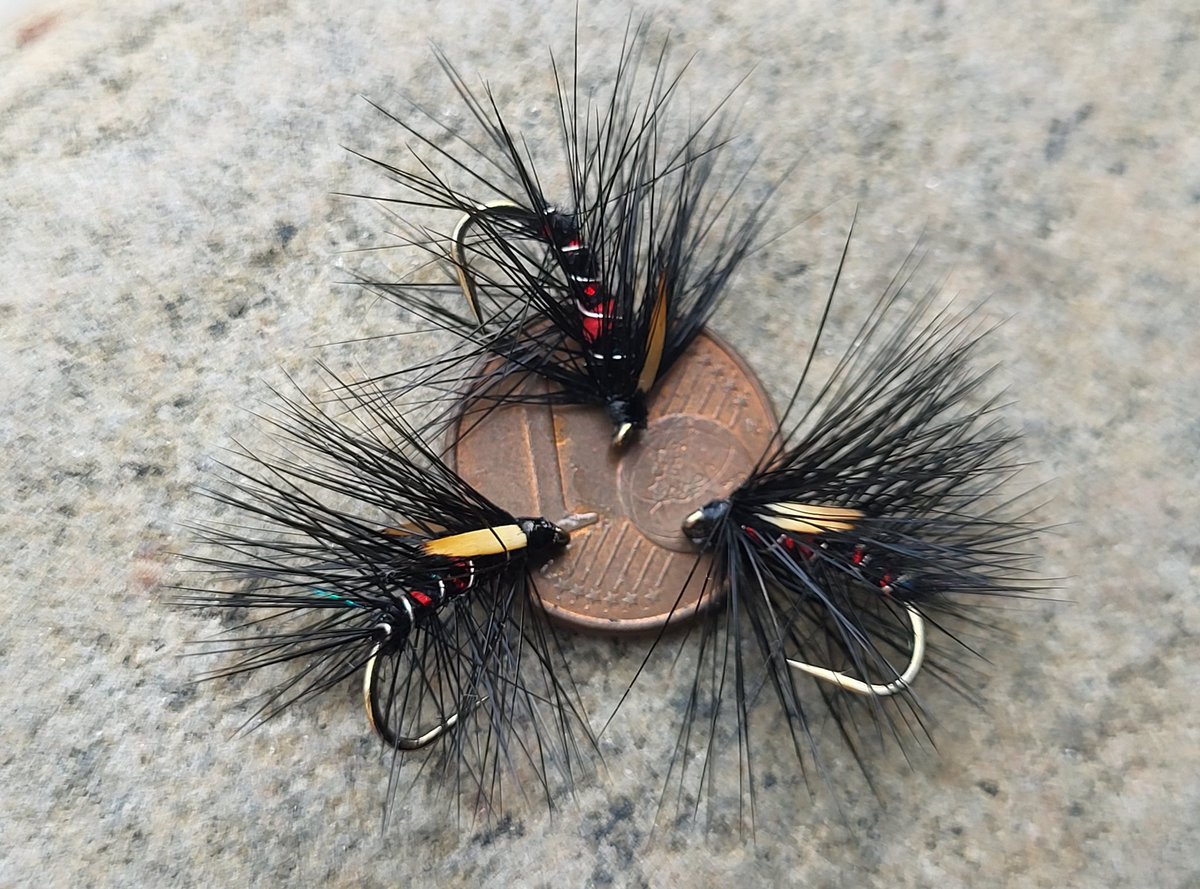 mccoy007_coy's tweet photo. #bibio #wetfly #irishflies #loughstyle #cpr #wildbrowntrout #wildatlanticsalmon #grilse #seatrout #loughcorrib #loughsheelin #loughmask #loughfurnace #carrowmore #delphi #loughbeltra extra red๐โ๏ธ๐ฃ๐ https://t.co/5fB9jeP4LJ