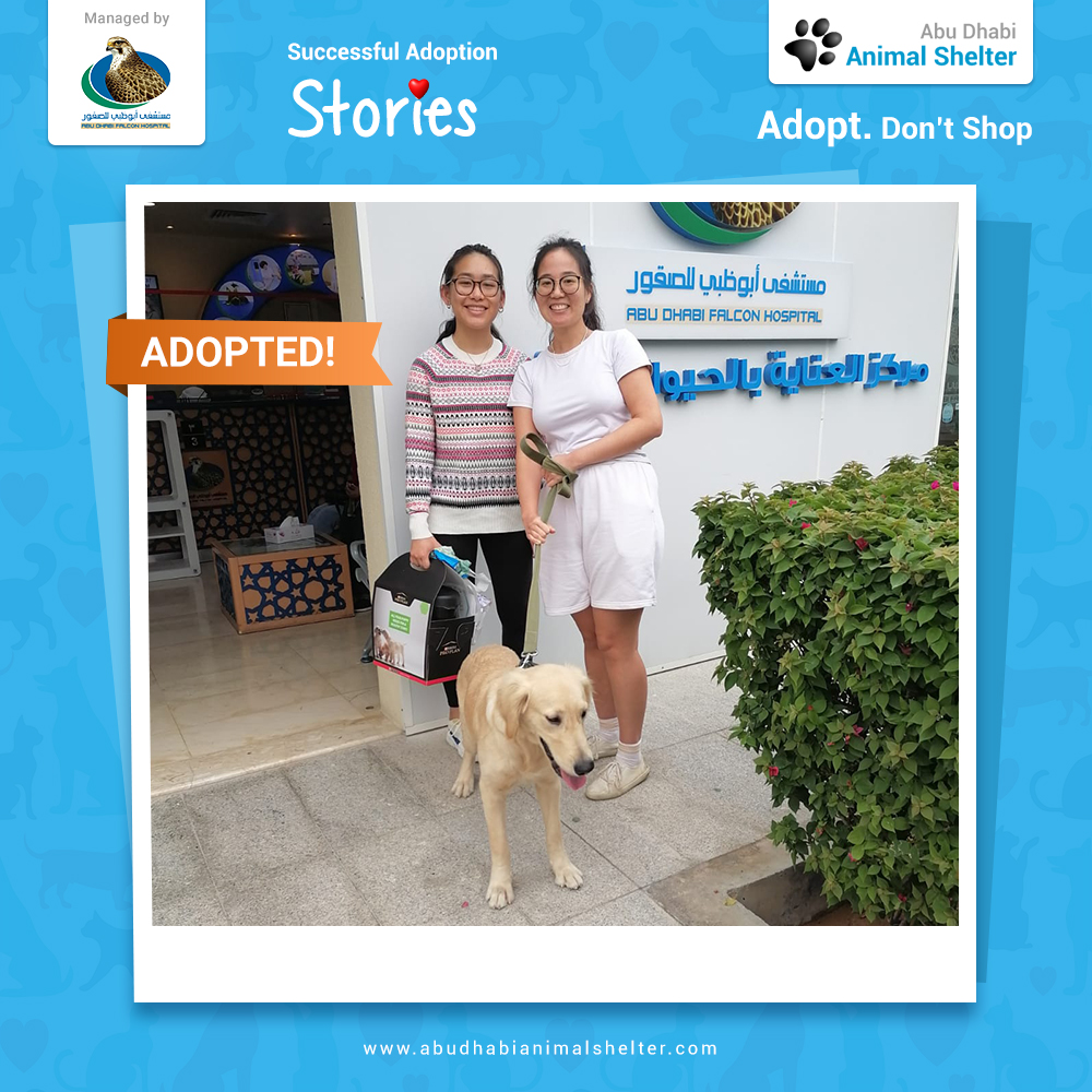 ABAnimalShelter's tweet photo. Thank you, Joseph Flynn & Family for visiting and adopting from ADAS! We wish you the best of luck with your new dog.
#ADAS #SuccessfulAdoptionStories #AdoptDontShop #AbuDhabi #AnimalShelter @purinaarabia #purinadoptioncommitment https://t.co/7q02s3juez