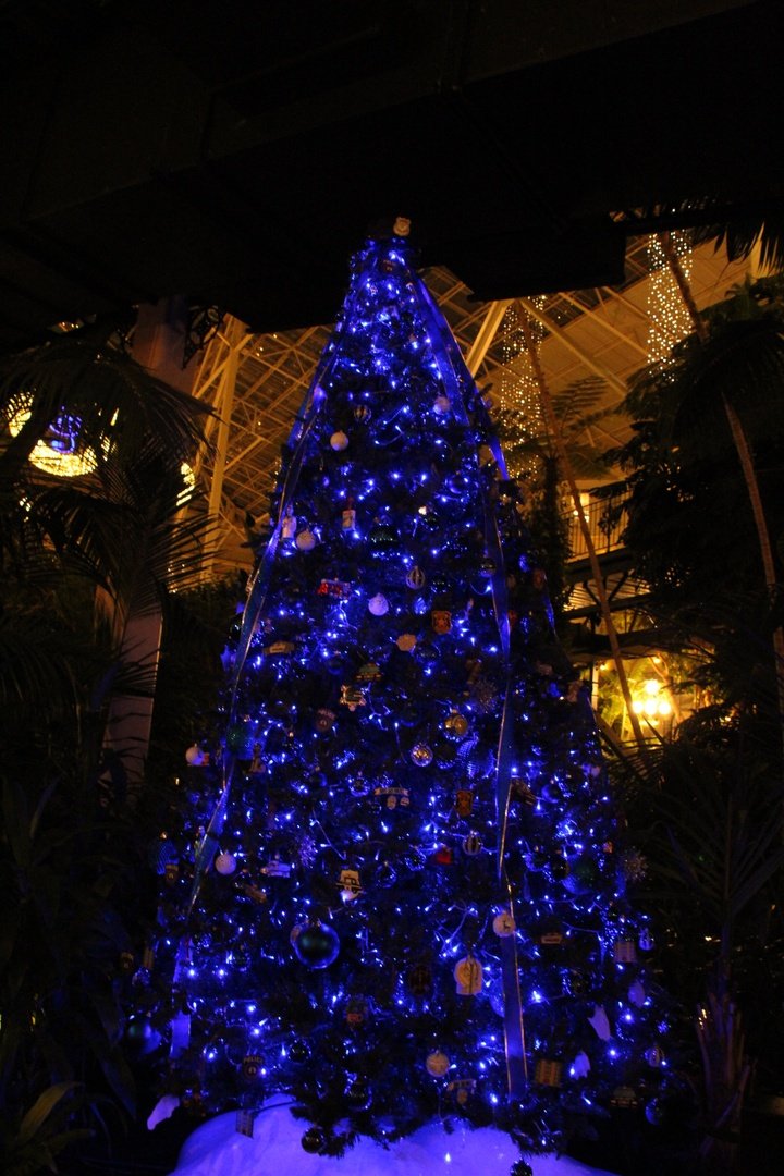 Visit CharityStars.com/GEORGE to enter to win the “King Of Country” Flyaway! Use code LASTCHANCE for 500 free entries. 

Proceeds raised provide scholarships &amp; mental health services to children who have lost a parent in the line of duty. #ParadeOfTrees 
<a href="/1strcf/">First Responders Children's Foundation</a>