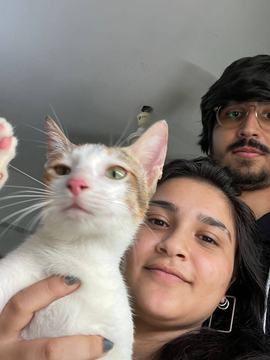 itisindrani's tweet photo. forever fighting the urge to tell everyone i meet that i have a cat 😤 i am far too obsessed with this child https://t.co/wd63vcDmAq