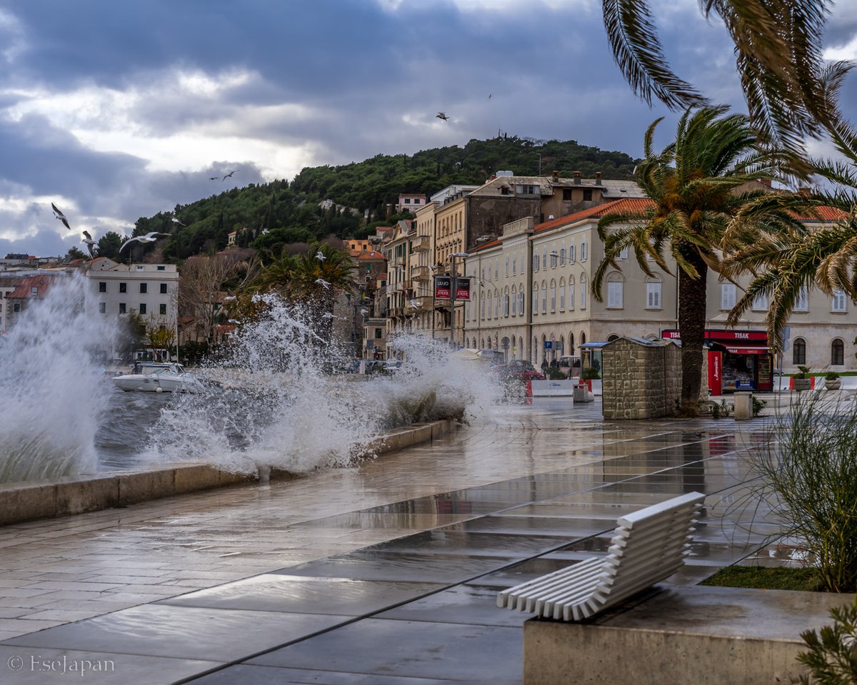 Yuya Matsuo tweet media