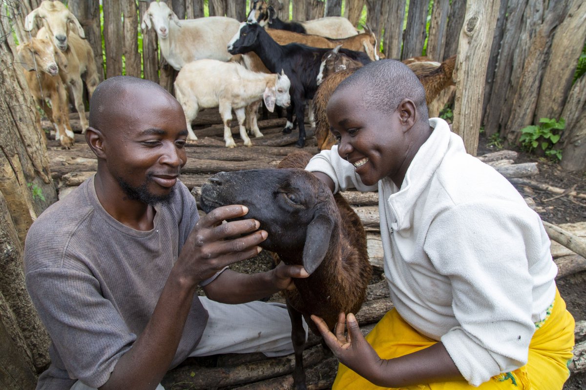 WHH Zimbabwe Welthungerhilfe tweet media