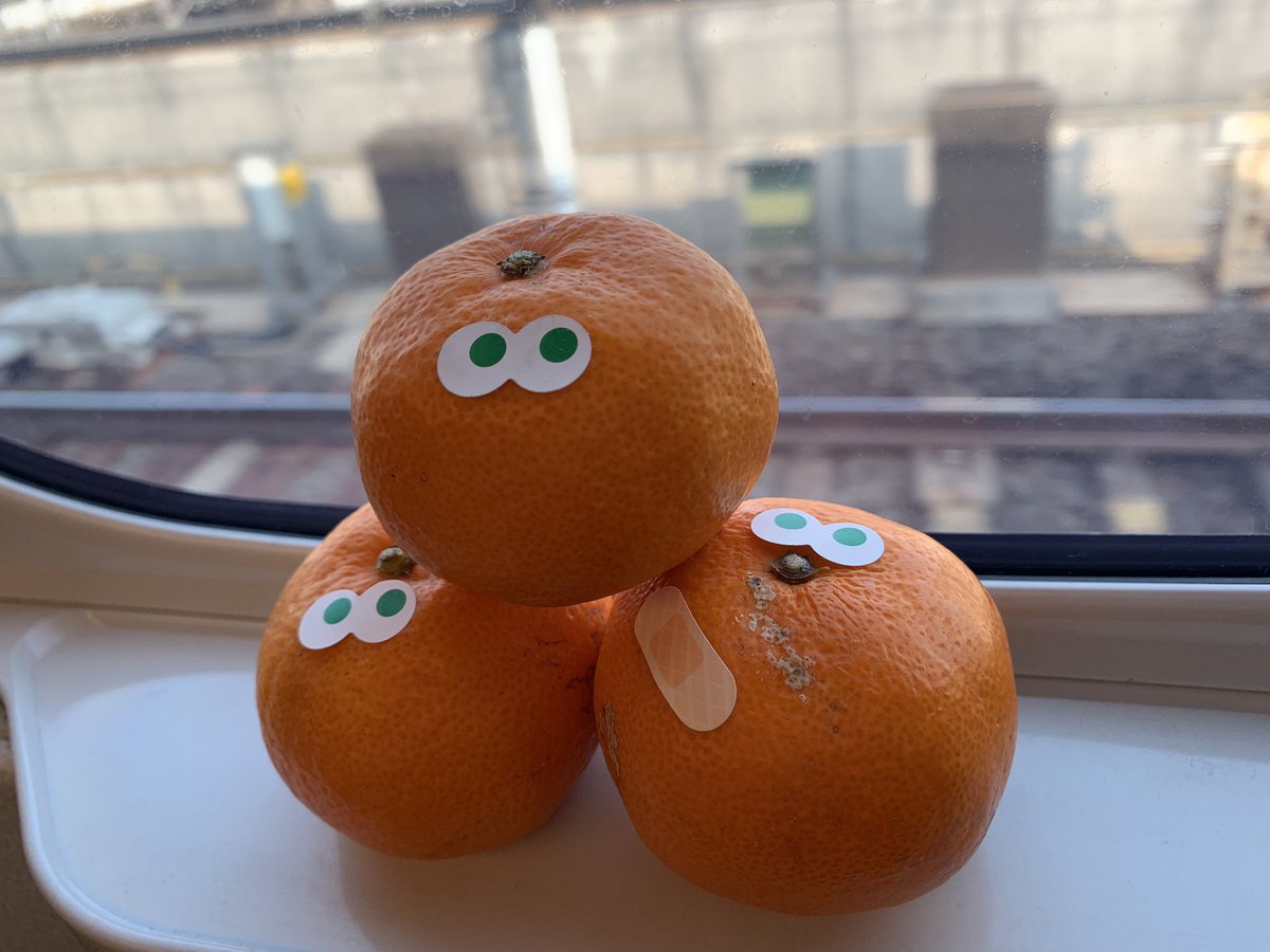 一緒に帰ってきました。
可愛い🍊
#アイアムミカン