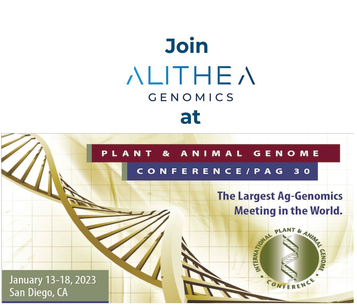 AlitheaGenomics's tweet photo. π’ We are excited to start this year by attending the International Plant & Animal Genome Conference 2023 in San Diego! #PAG30
Our team will be happy to talk to you at booth 404 or after our workshop on Monday, 12:50 PM π
For details >> https://t.co/J6MIBfiWOE
#brbseq #drugseq https://t.co/tYlKK4tzPq
